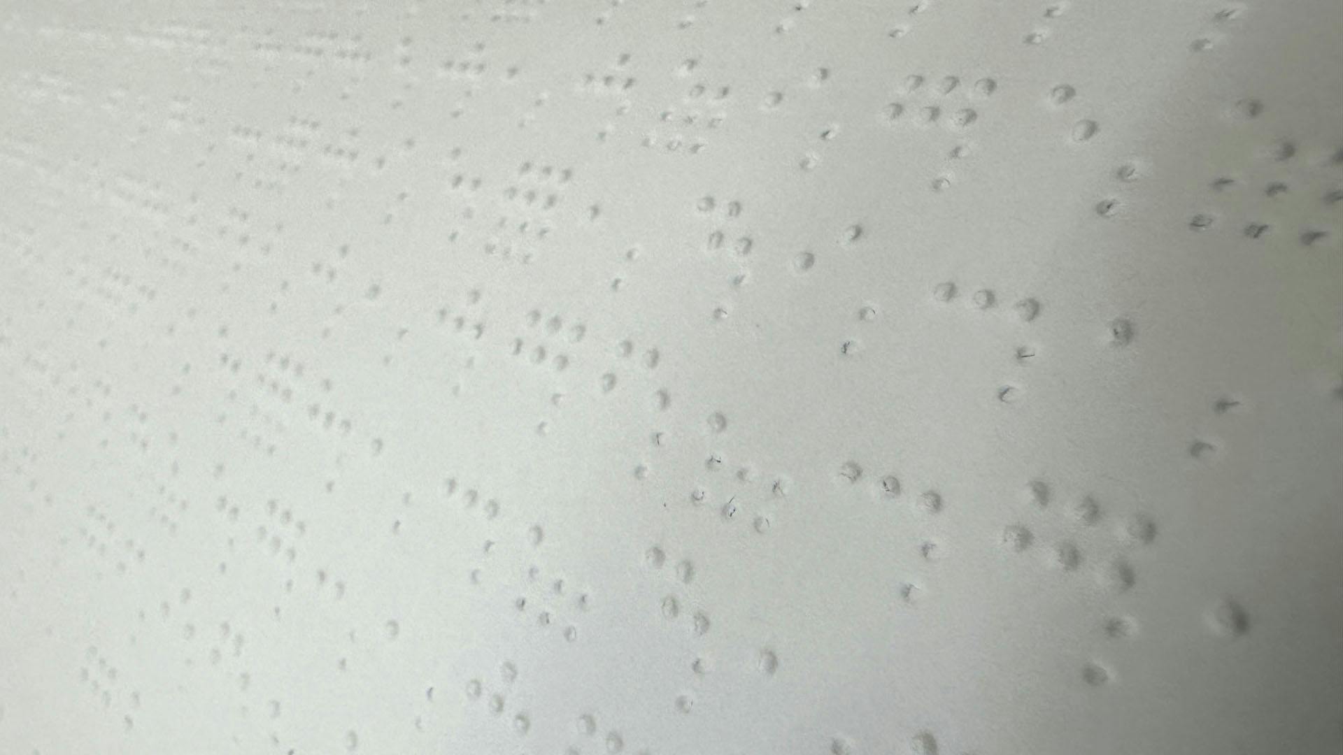 Detail of a book printed in Braille